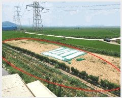  2025Ÿ��677  ����