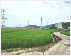  2025Ÿ��677  ����