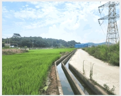  2025Ÿ��677  ����