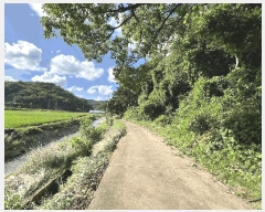  2025Ÿ��714 �泲 ������ ���̸� õ�Ǹ� ��150-1      ����(�Ӿ�)���