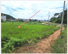  2025Ÿ��733 �泲 �¾ȱ� �ȸ��� â�⸮ 1262-1      ����(��)���