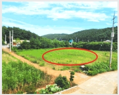  2025Ÿ��733 �泲 �¾ȱ� �ȸ��� â�⸮ 1262-1      ����(��)���