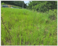  2025Ÿ��733 �泲 �¾ȱ� �ȸ��� â�⸮ 1262-1      ����(��)���