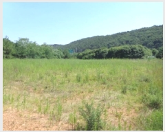  2025Ÿ��733 �泲 �¾ȱ� �ȸ��� â�⸮ 1262-1      ����(��)���