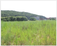  2025Ÿ��733 �泲 �¾ȱ� �ȸ��� â�⸮ 1262-1      ����(��)���