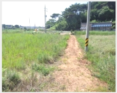  2025Ÿ��733 �泲 �¾ȱ� �ȸ��� â�⸮ 1262-1      ����(��)���