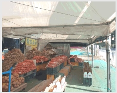  2025Ÿ��790 �泲 �¾ȱ� ���� ��ϸ� 530      ��,�繫�ǰ��