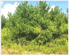  2025Ÿ��790 �泲 �¾ȱ� ���� ��ϸ� 530      ��,�繫�ǰ��