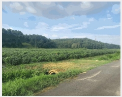  2025Ÿ��796 �泲 ������ �۾��� ��� 131-87      ����(��)���