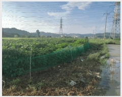  2025Ÿ��796 �泲 ������ �۾��� ��� 131-87      ����(��)���