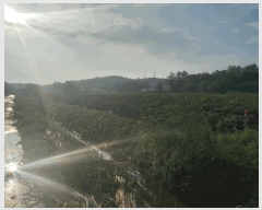  2025Ÿ��796 �泲 ������ �۾��� ��� 131-87      ����(��)���