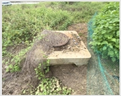  2025Ÿ��796 �泲 ������ �۾��� ��� 131-87      ����(��)���