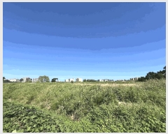  2025Ÿ��797  ����