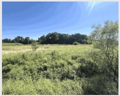  2025Ÿ��797  ����