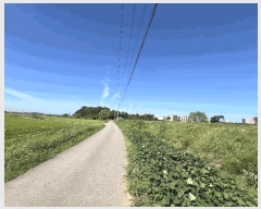  2025Ÿ��797  ����