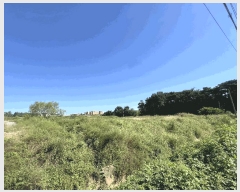  2025Ÿ��797  ����