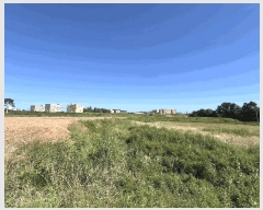  2025Ÿ��797  ����