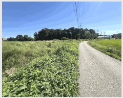  2025Ÿ��797  ����