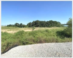  2025Ÿ��797  ����