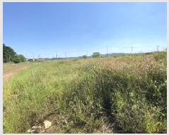  2025Ÿ��797  ����