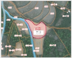 2025Ÿ��824 �泲 ������ �ۻ�� ��Ÿ� 58      ����(��)���