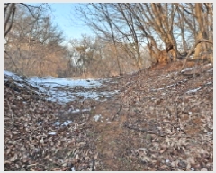  2025Ÿ50549 泲  ۾ 븮 93      (1)