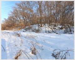  2025Ÿ50549 泲  ۾ 븮 93      (1)