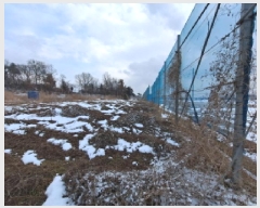  2025Ÿ��50716 �泲 ������ ������ ������ 147      ����(��)���