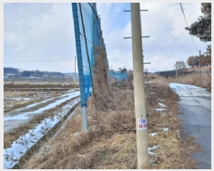  2025Ÿ��50716 �泲 ������ ������ ������ 147      ����(��)���