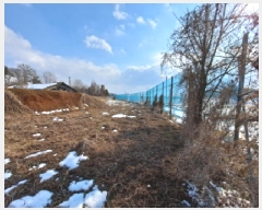  2025Ÿ��50716 �泲 ������ ������ ������ 147      ����(��)���