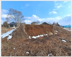  2025Ÿ��50716 �泲 ������ ������ ������ 147      ����(��)���