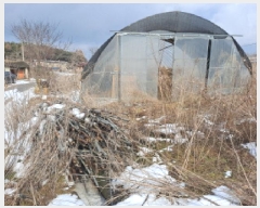  2025Ÿ��50716 �泲 ������ ������ ������ 147      ����(��)���