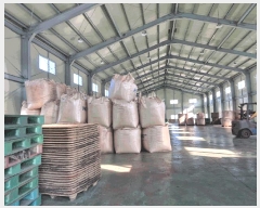  2025Ÿ50970 泲   ȭ 22-22      ,â