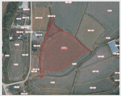  2025Ÿ��51084  ����