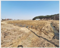  2025Ÿ��51084  ����