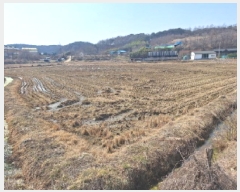  2025Ÿ��51084  ����