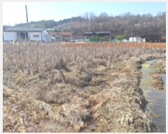  2025Ÿ��51084  ����