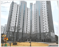  2025Ÿ51092 泲   962 꼾ƮھƷƮ 104 8802ȣ    Ʈ