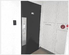  2025Ÿ51092 泲   962 꼾ƮھƷƮ 104 8802ȣ    Ʈ