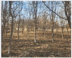  2025Ÿ��51146 �泲 �¾ȱ� �ȸ��� â�⸮ 1262-9      ����(��)���