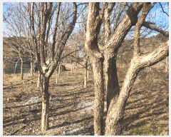  2025Ÿ��51146 �泲 �¾ȱ� �ȸ��� â�⸮ 1262-9      ����(��)���