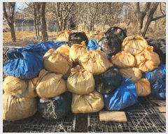  2025Ÿ��51146 �泲 �¾ȱ� �ȸ��� â�⸮ 1262-9      ����(��)���