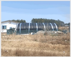  2025Ÿ51193 泲 ¾ȱ ¾ 긮 975-1      ð