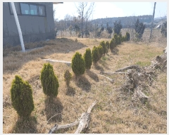  2025Ÿ51193 泲 ¾ȱ ¾ 긮 975-1      ð