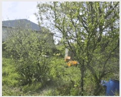  2025Ÿ��51227 �泲 ����� ���ϸ� ������ 570-11      ����,â�����