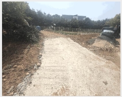  2025Ÿ��51259 �泲 ������ �۾��� ������ 224      ����(��1)���