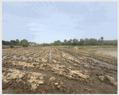  2025Ÿ��51259 �泲 ������ �۾��� ������ 224      ����(��1)���