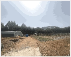  2025Ÿ��51259 �泲 ������ �۾��� ������ 224      ����(��1)���