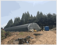  2025Ÿ��51259 �泲 ������ �۾��� ������ 224      ����(��1)���