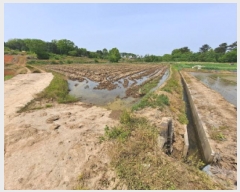  2025Ÿ��51259 �泲 ������ �۾��� ������ 224      ����(��1)���